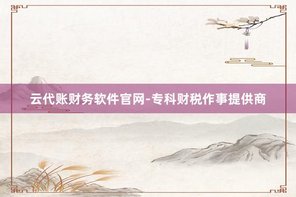 云代账财务软件官网-专科财税作事提供商