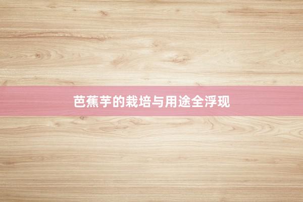芭蕉芋的栽培与用途全浮现