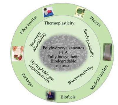 限塑令驱动PHA产业升级，巨头入局引领生物降解塑料新浪潮
