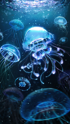 黑暗中熠熠发光的深海舞者——水母